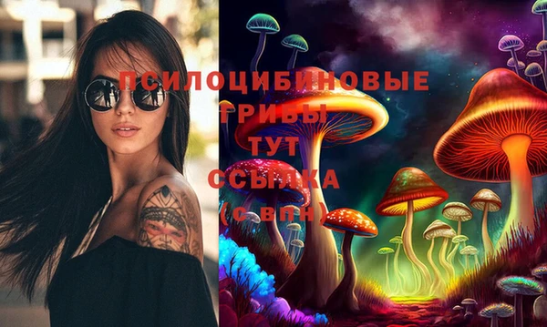 ГАЛЛЮЦИНОГЕННЫЕ ГРИБЫ Бронницы