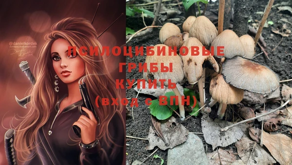 бутират Верхний Тагил